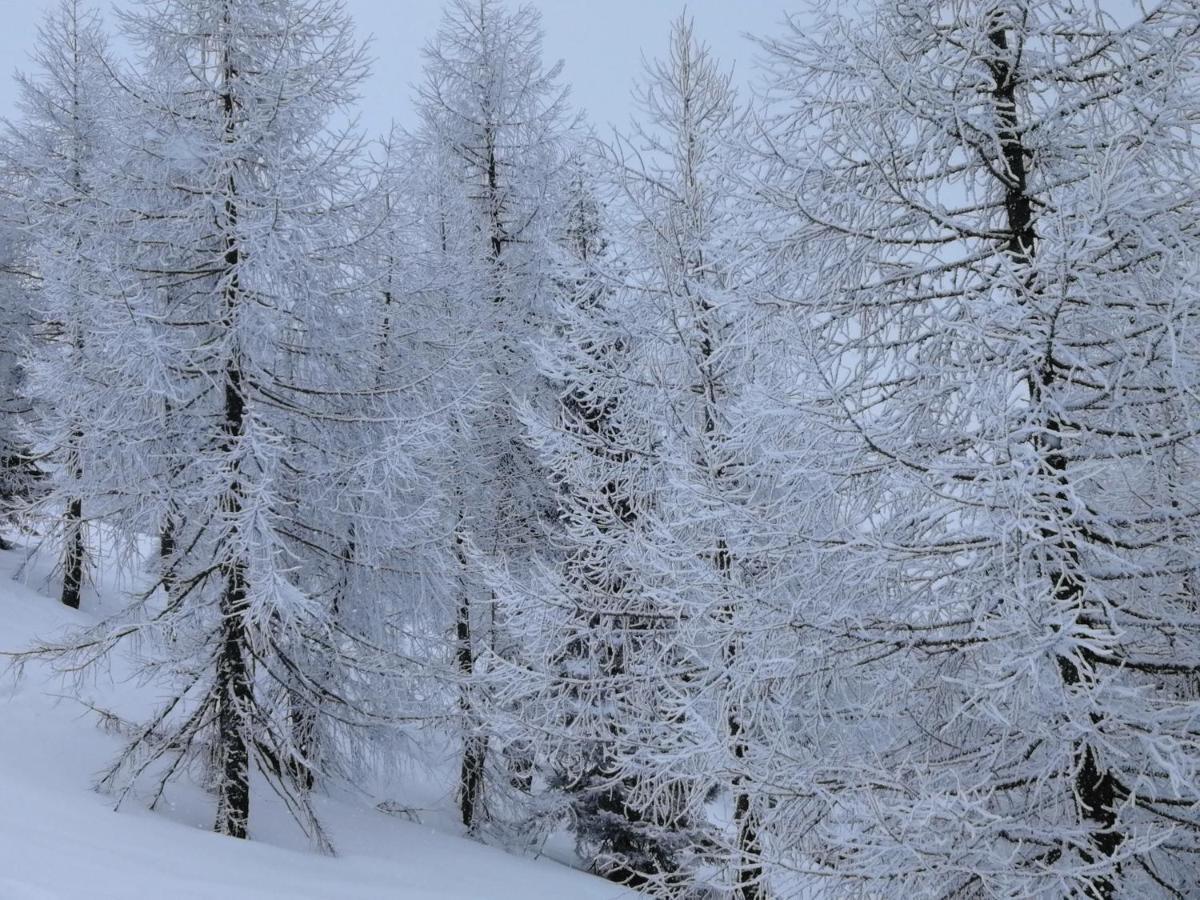 Hotel Dolomiti Levico Terme Zewnętrze zdjęcie